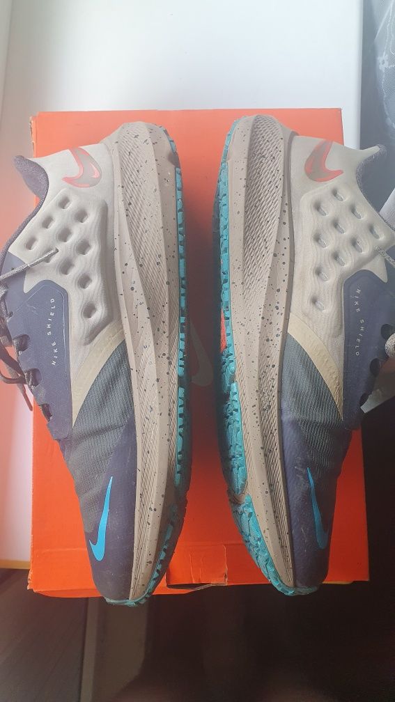 Кроссовки Nike  pegasus 39 shield
