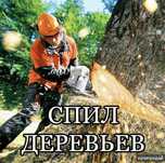 Спил деревьев любой сложности!