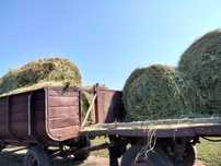 Продам сено в  рулонах   солома ячмённая