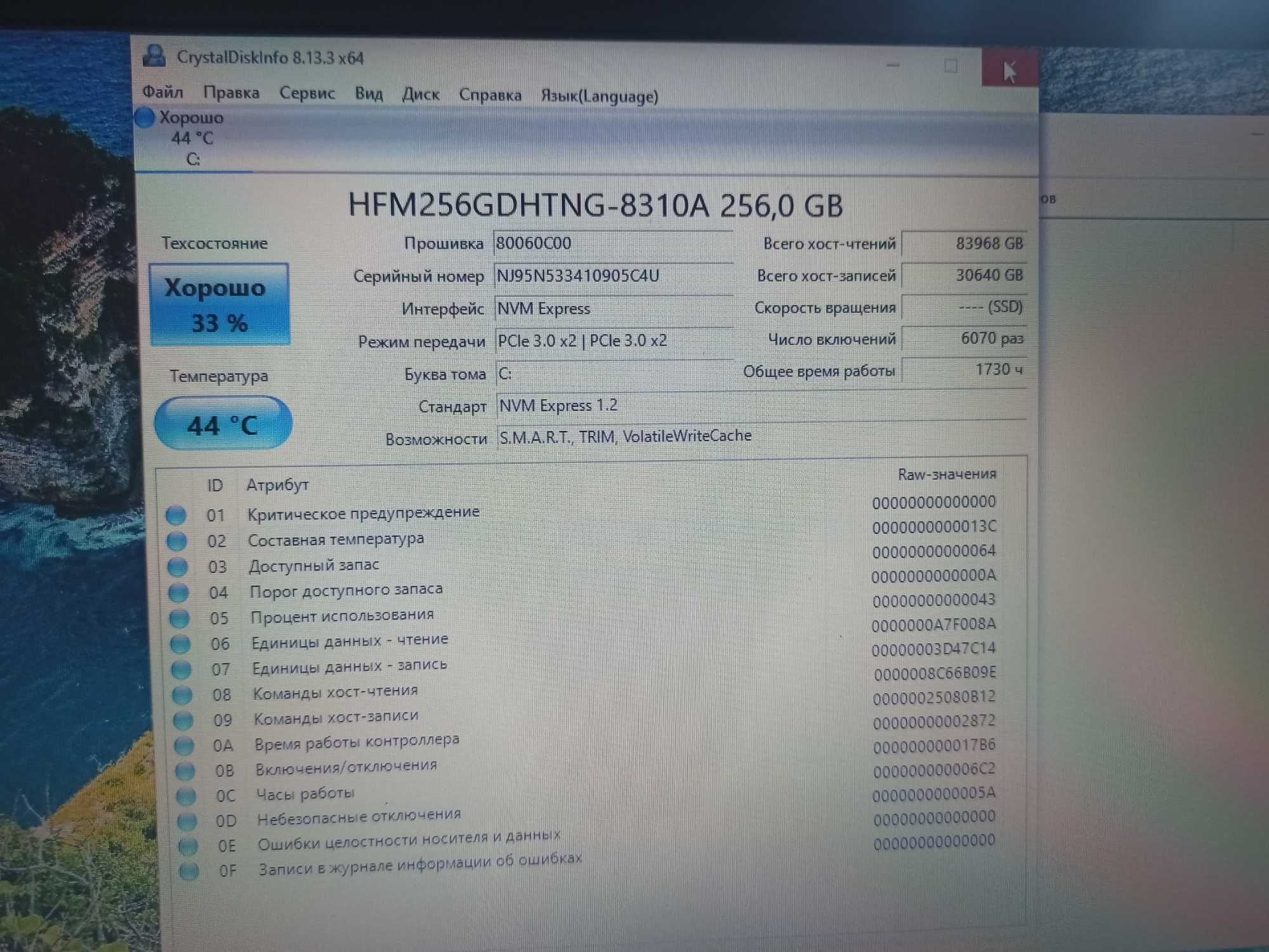 SSD 256 GB / SK Hynix M.2 NVMe