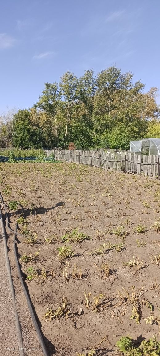 Продаем дачу в обществе Мичуринец