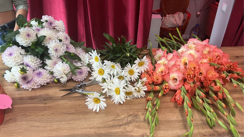 Продаю цветы гладиолусы георгины астра циния