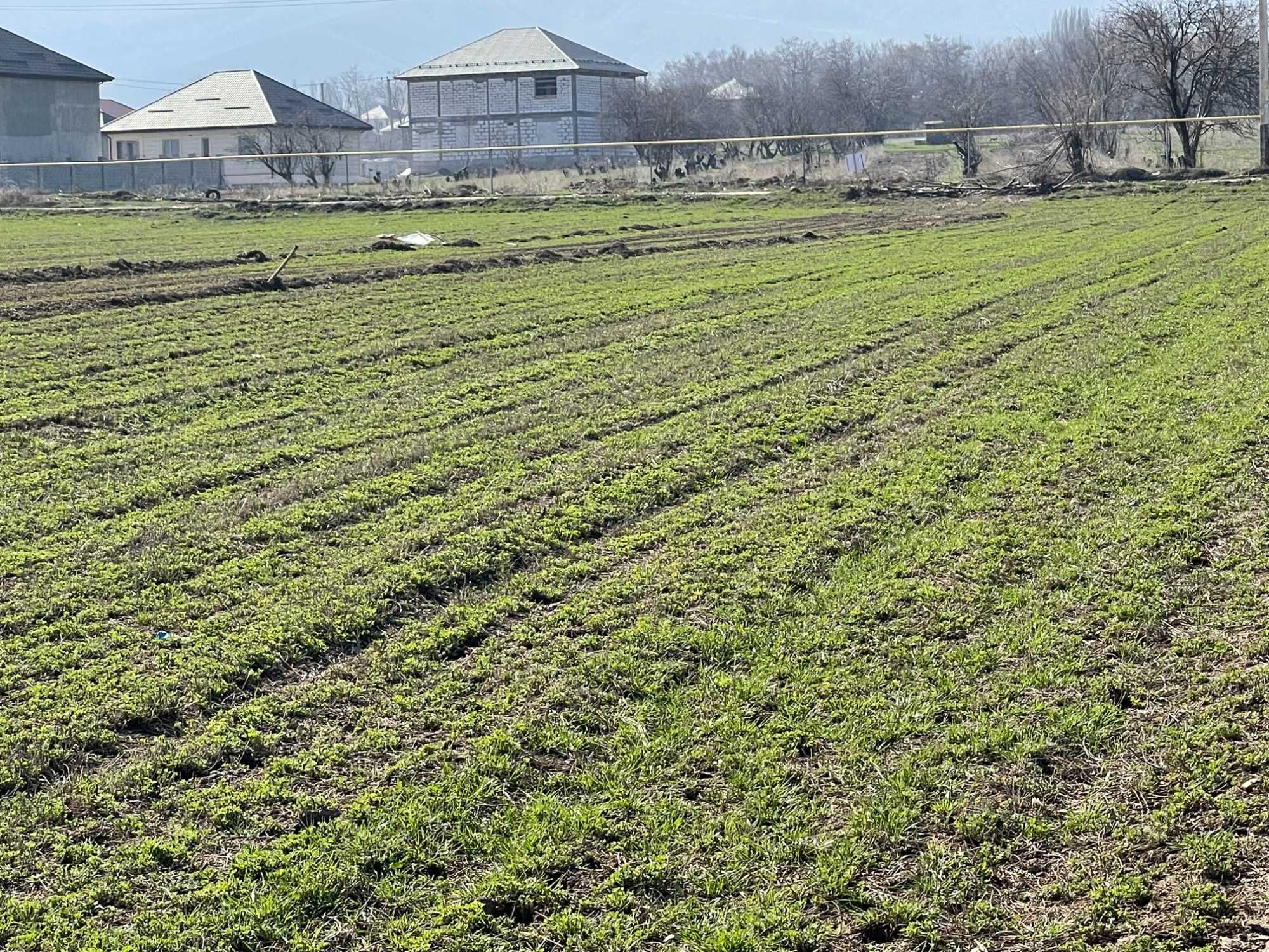 Продам или в аренду сдам свой участок 15 соток с фундаментом