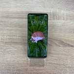 Д20 / Сотовый телефон Xiaomi 13 lite
