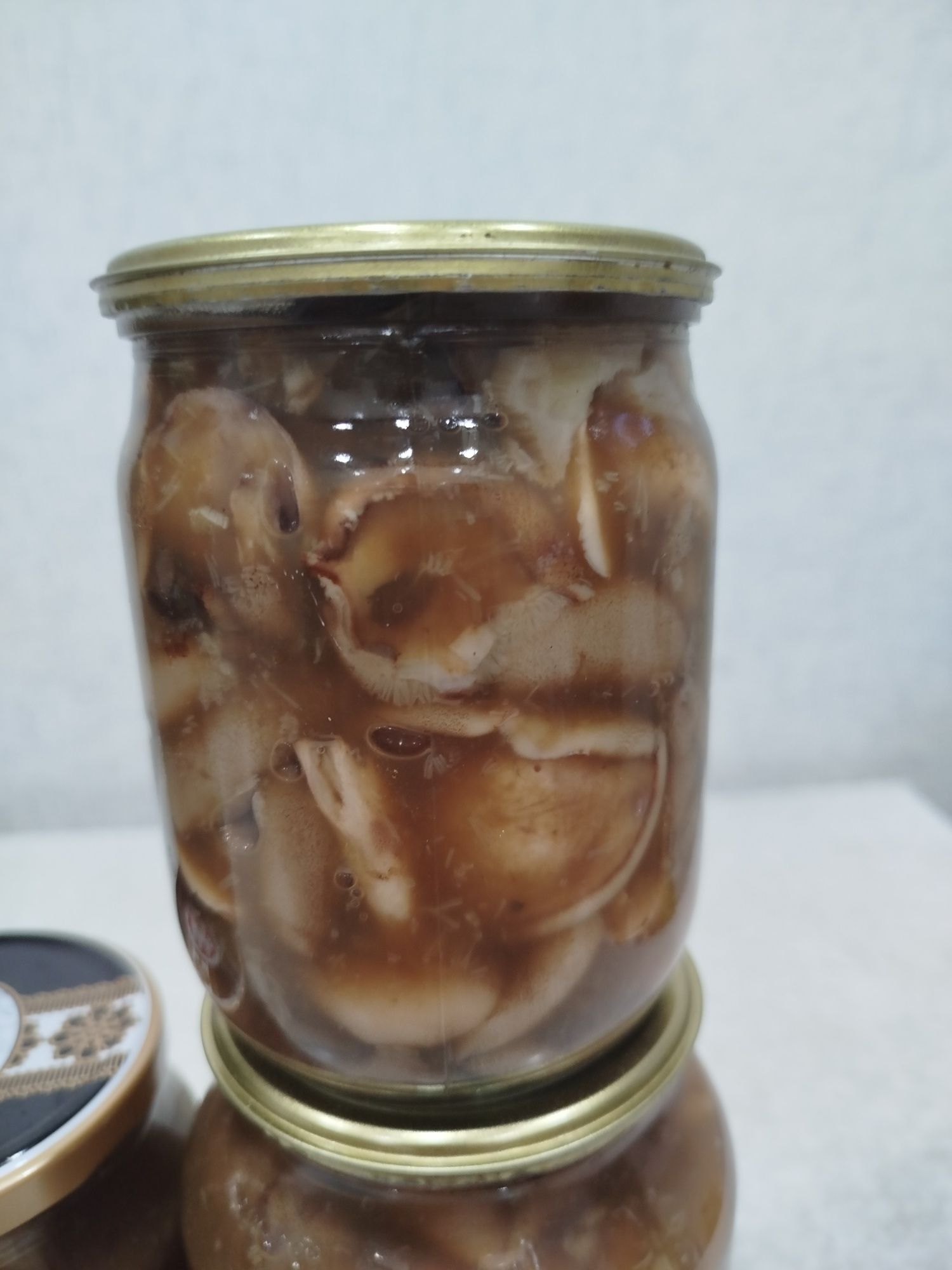 Грибы маслята грибы