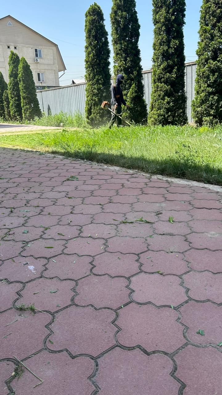 Косим траву, шоп шабу