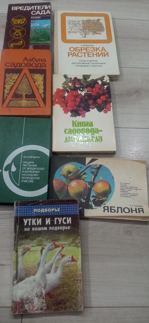 Сад огород,Пропись тетрадь магнум