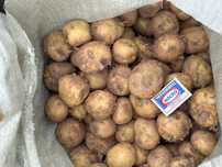 Продам Картошку свежую