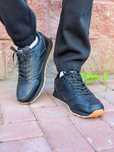 Спортивные мужские Reebok кроссовки (1547)