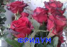 Фридум и Черная Магия Роза Саженцы