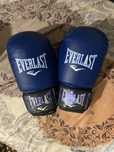 Боксерская перчатка Everlast