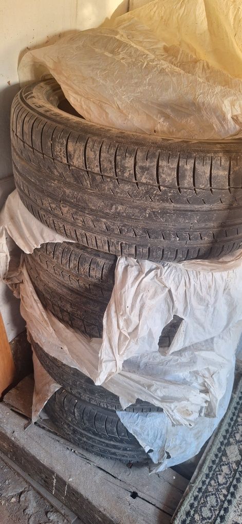 Продам летние шины трианджл