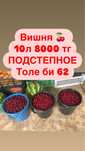 Вишня 8000 с доставкой