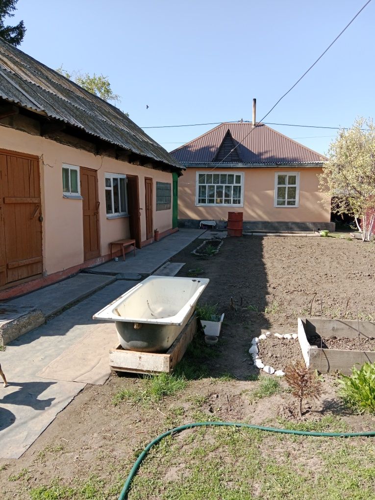 Продам дом на Левом берегу у берега Иртыша