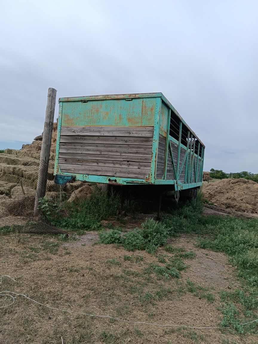 Сковотоз сатылады