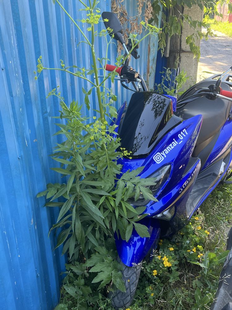 Скутер макси moped