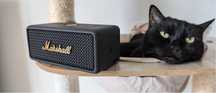Колонка акустическая marshall
