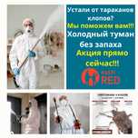 Дезинфекция дезинсекция дератизация клоп таракан мышь насеком муравей
