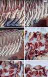 Продам жирный соғым разных возрастов