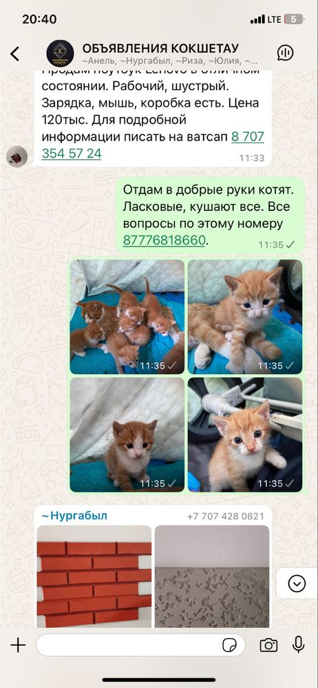 Отдам в добрые руки