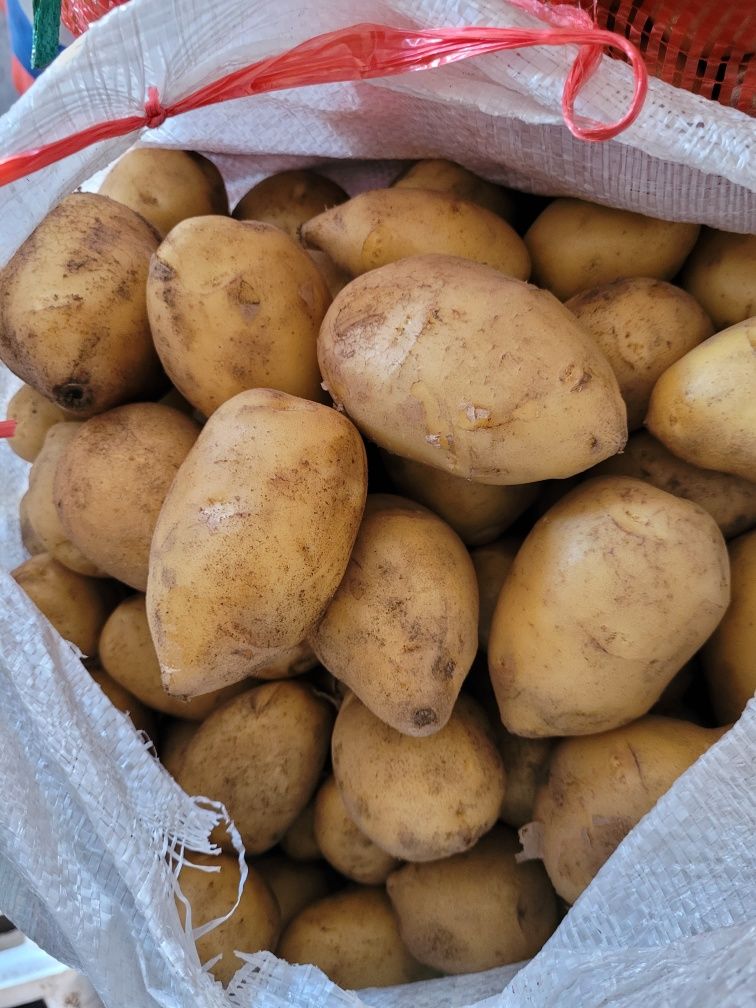 Продукты питание