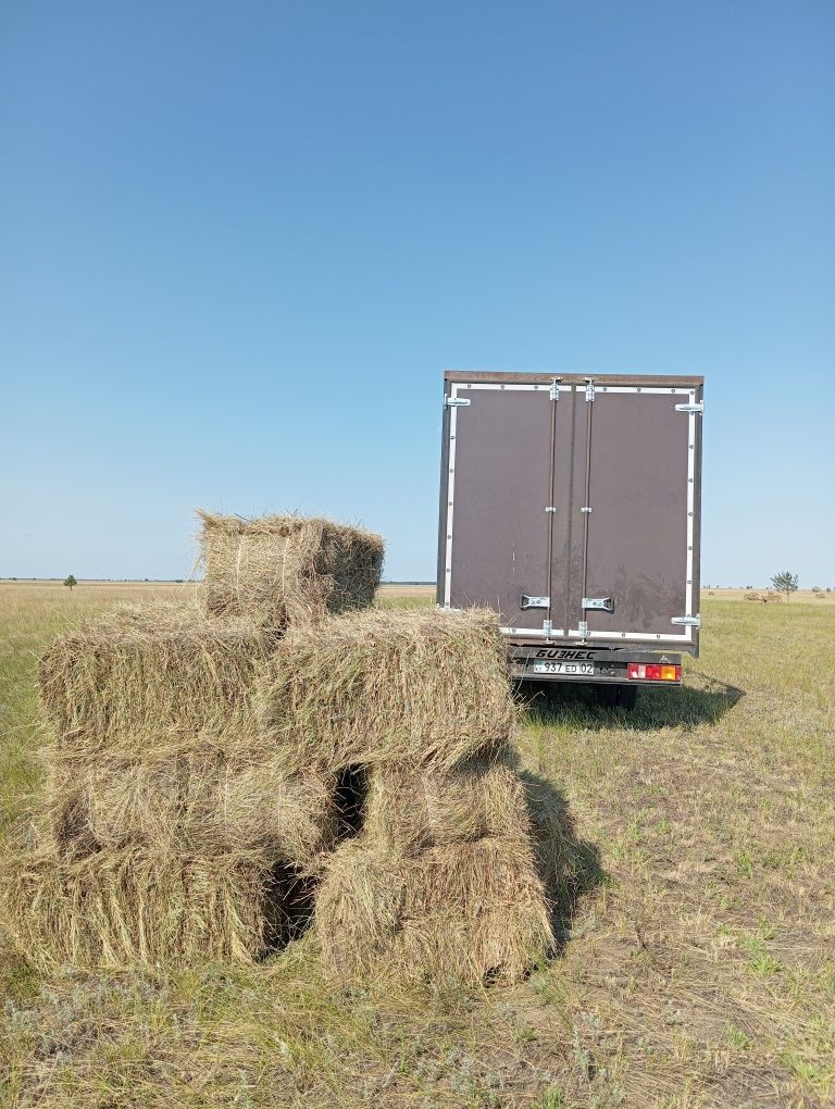 Продам сено в тюках свежоскошенное