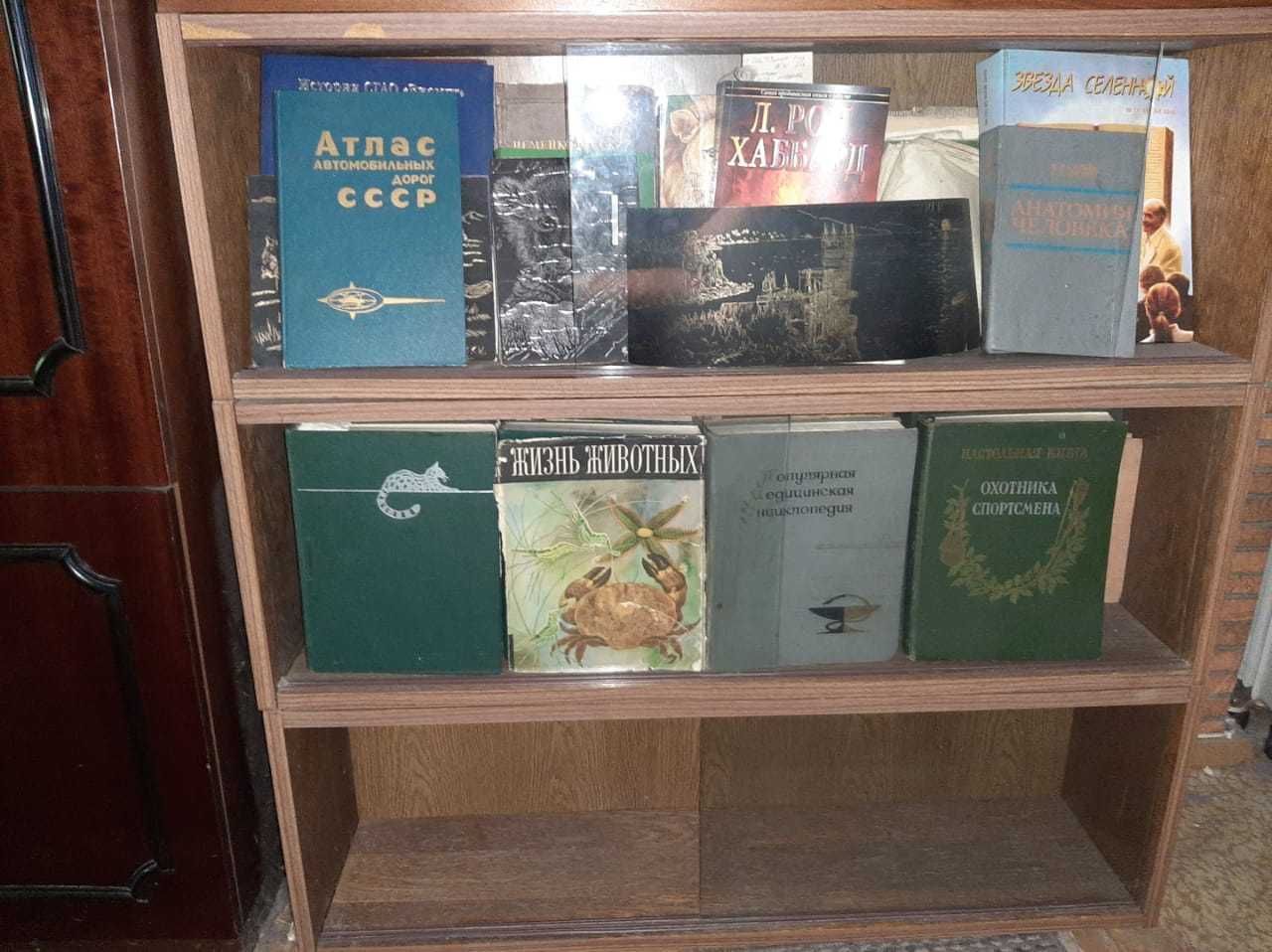 Классические книжные полки