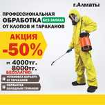 Клопы, тараканы, кандала, дезинсекция, насекомые