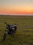 продам мопед nail moto 110 можно обмен