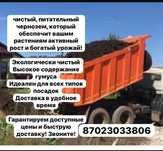 Чернозем чернозем құнарлы топырақ