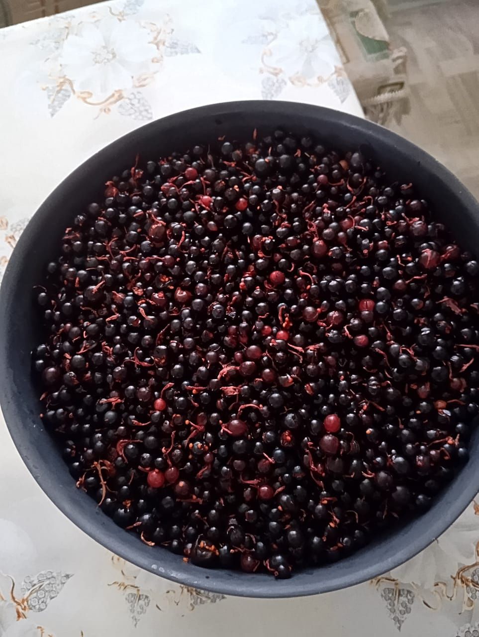 Продам лесную смородину