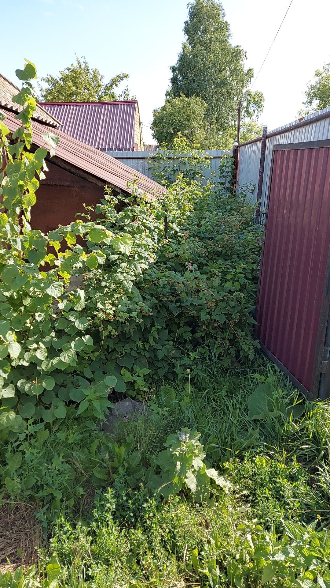 Продам дачу по ул  Березовая