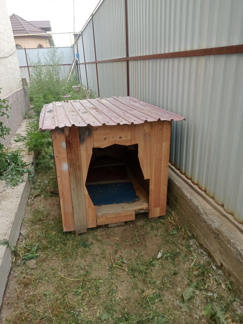 Будка для собаки