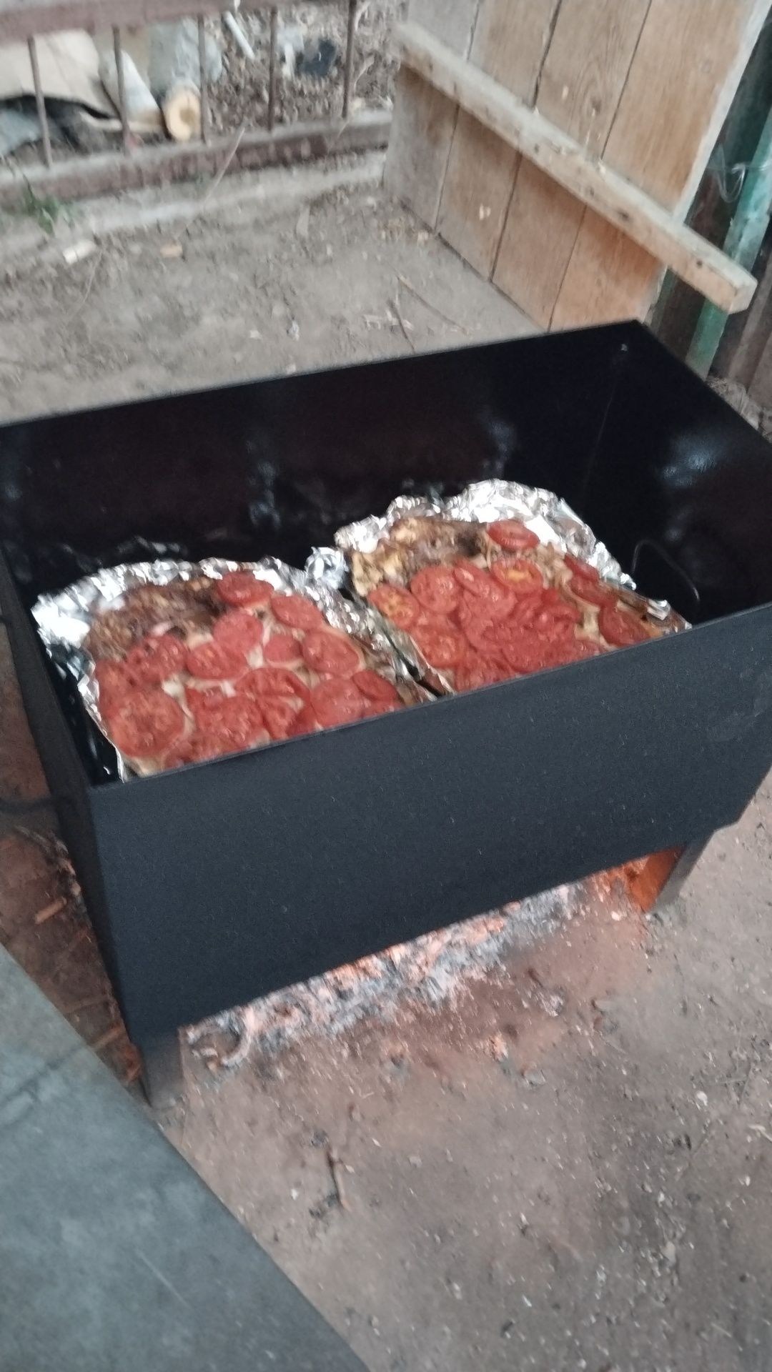 Коктальница коптильница