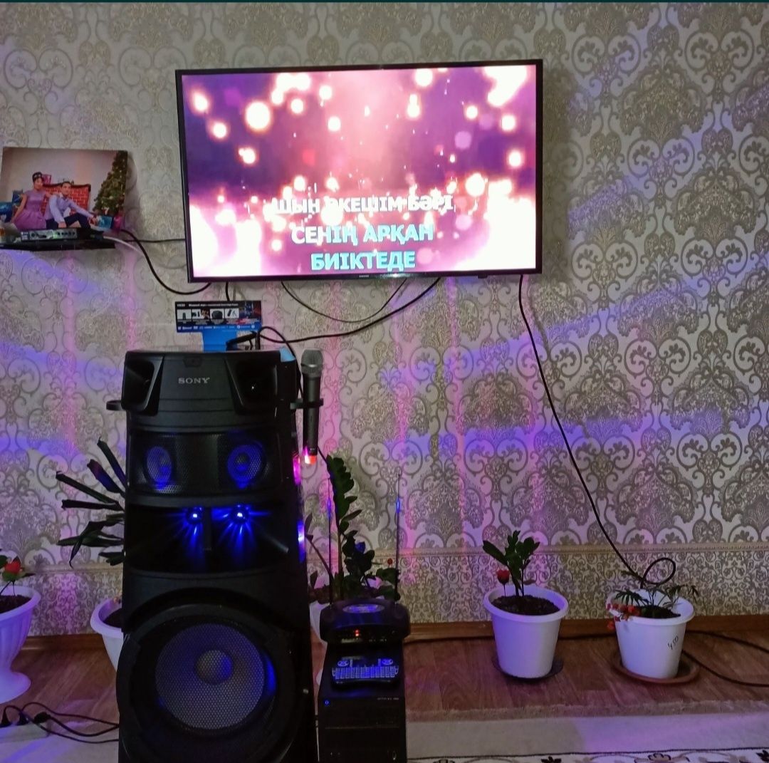 Аренда калонка муз аппаратура с микрофонами