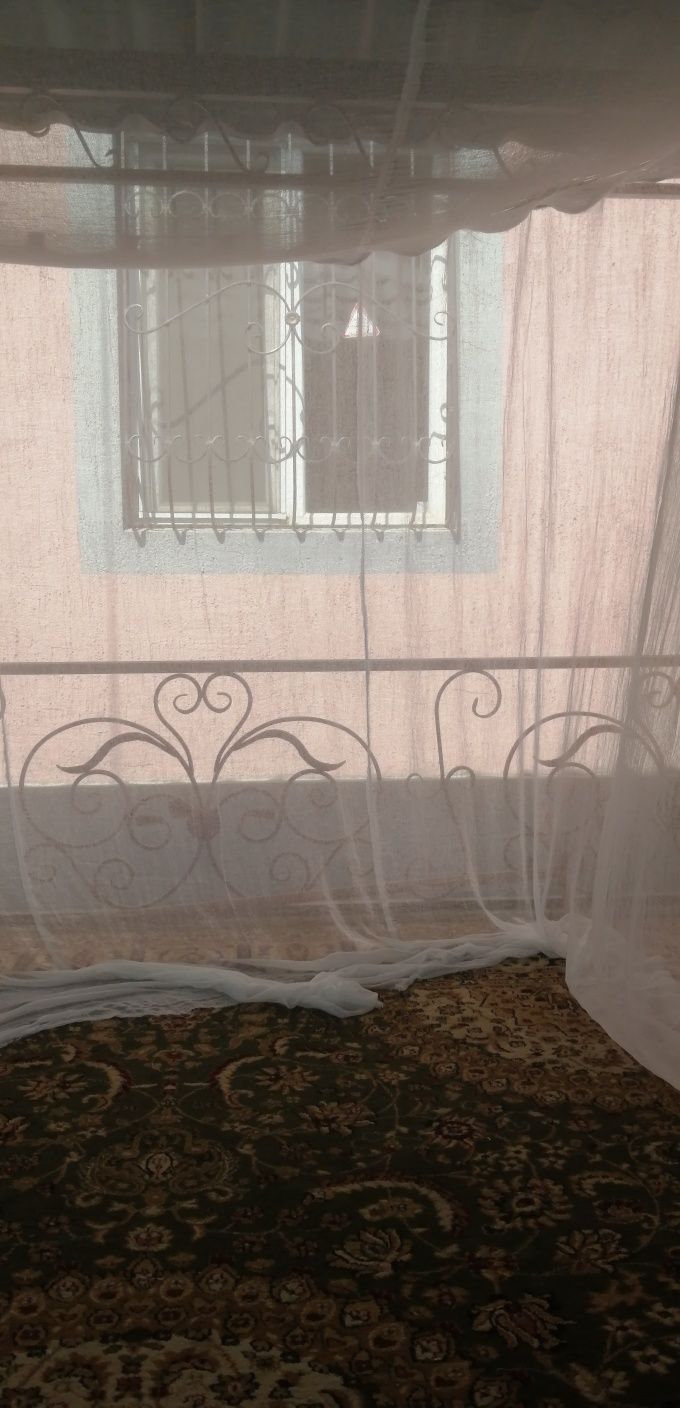 Масахана накомарник