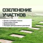 Озеленение участков, посев и укладка газона