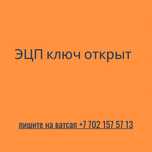 Егов услуги и Эцп ключ , Налоговый отчет и Статически отчет