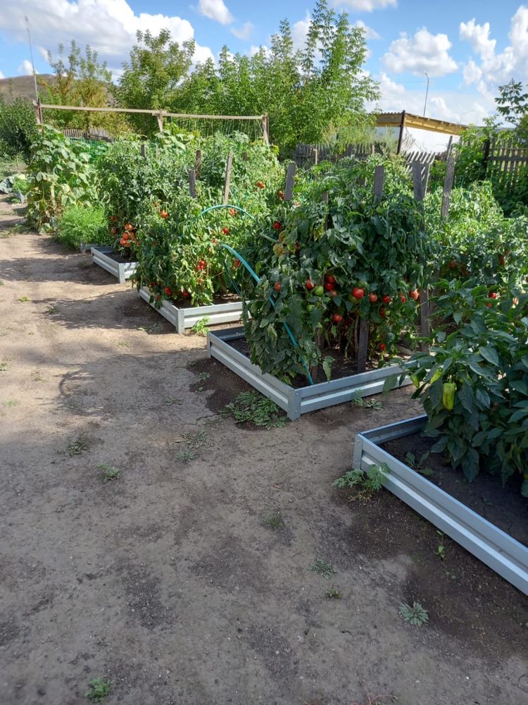 Продам дом в п. Берёзовка Шимонайхинский район