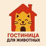 Кошка Домашняя гостиница для кошек котят