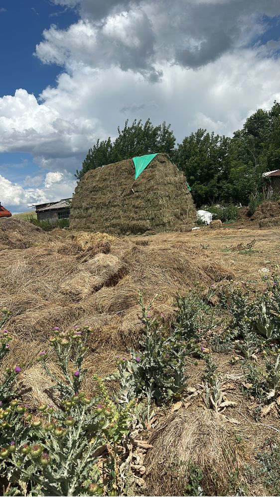 Сено эспорцет  и горное разнотравье