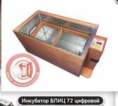 Продам Петухов Брама , Клиентских , Легорн , Амераукана .