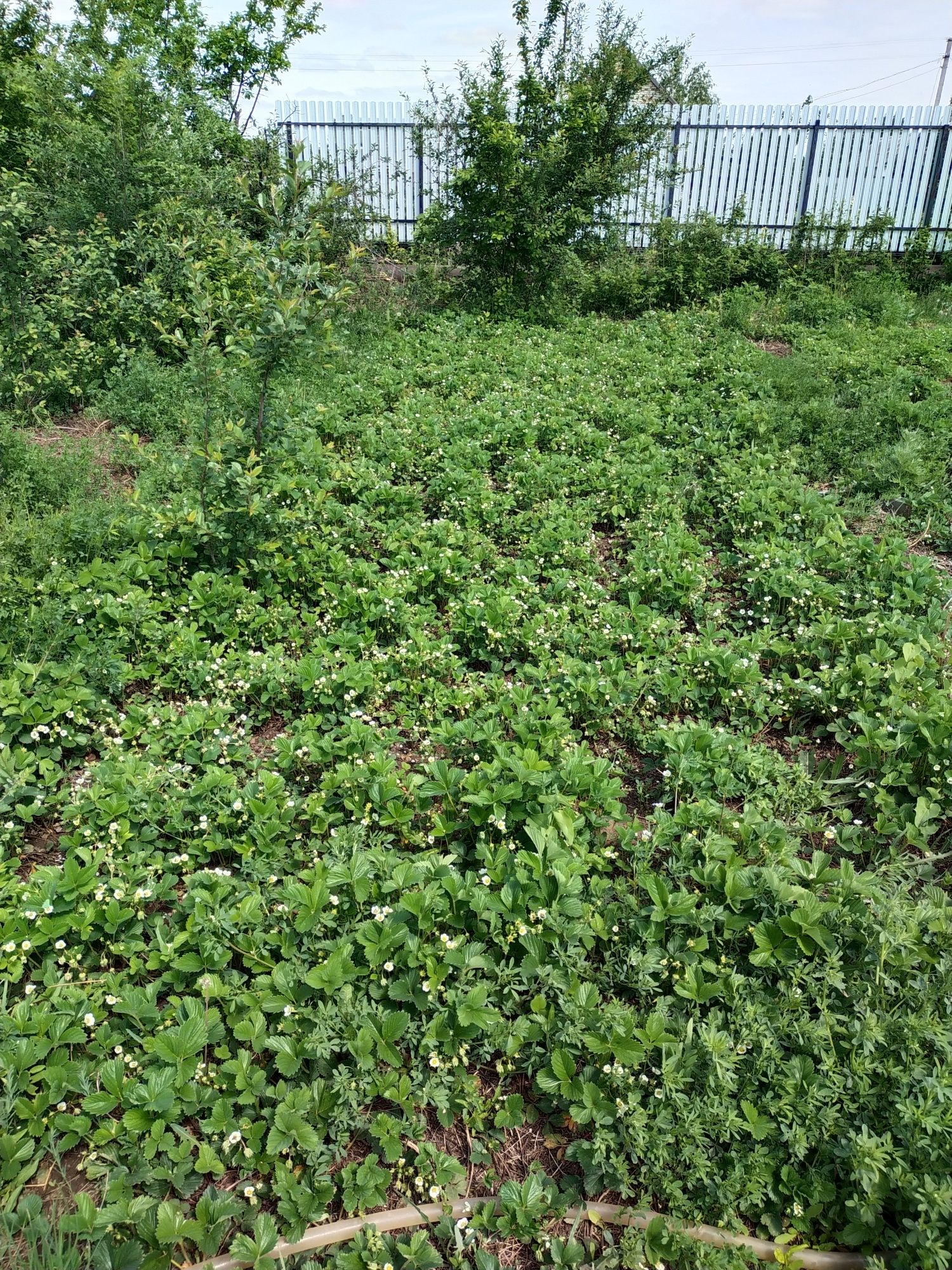 Продам   или обемяю на 2х ком кв дачный дом