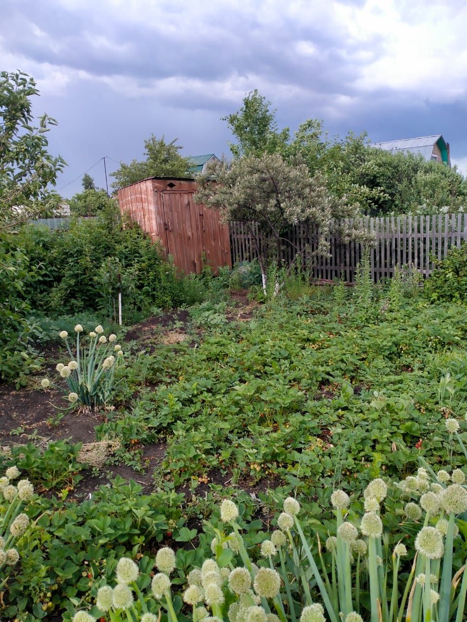 Продам дачу с/о Вишенка