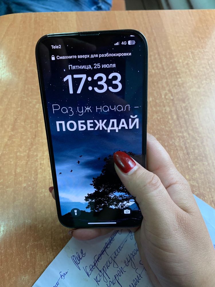 iphone 13pro max