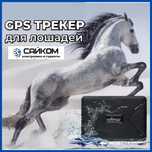 Найди скот в случае кражи GPS для Лошадей Доставка в Костанай!