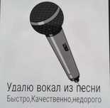 Сделаю минус песни на заказ – удалю вокал (MP3/WAV)