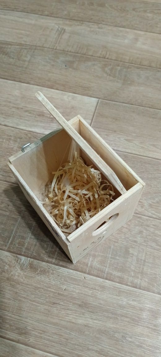Домик для попугаев