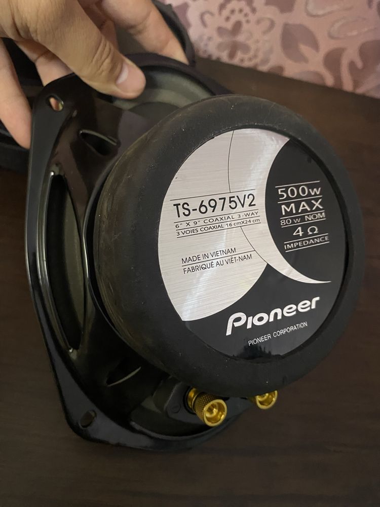 Pioneer TS-6975 v2