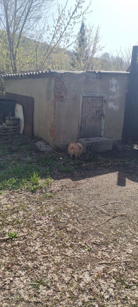Продам участок с домом . Зимний вариант